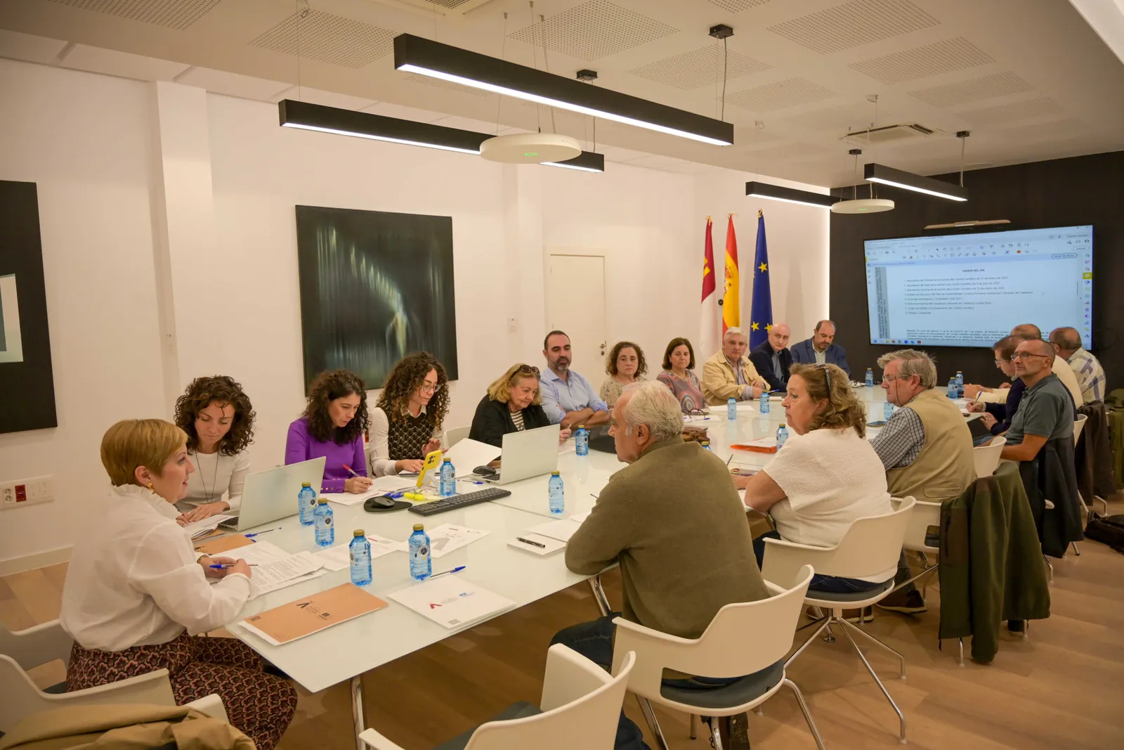 Reunión de la Diputación de Ciudad Real con el Comité Científico del Geoparque Volcanes de Calatrava